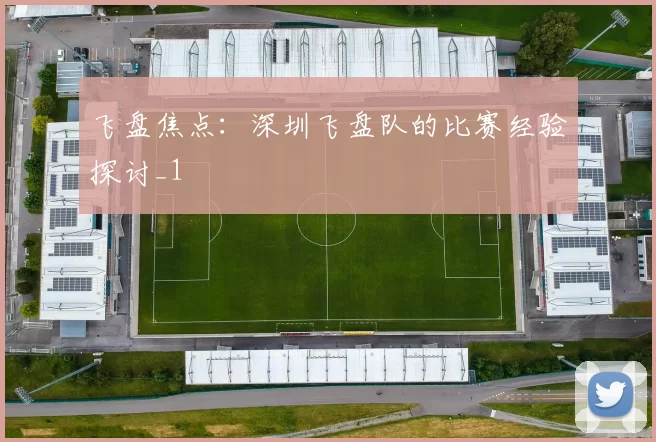 飞盘焦点：深圳飞盘队的比赛经验探讨_1