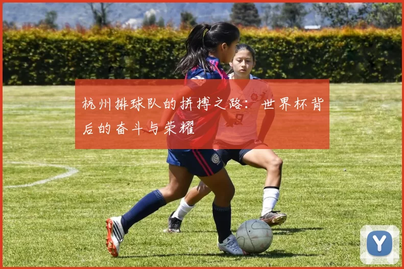 杭州排球队的拼搏之路：世界杯背后的奋斗与荣耀